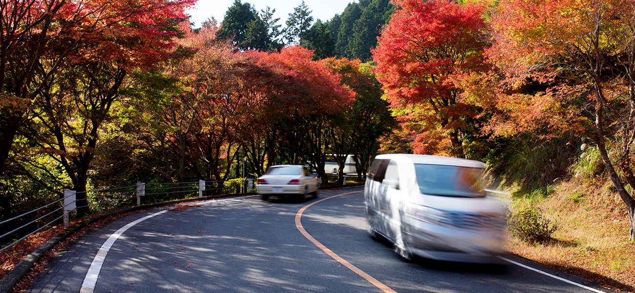 紅葉風景