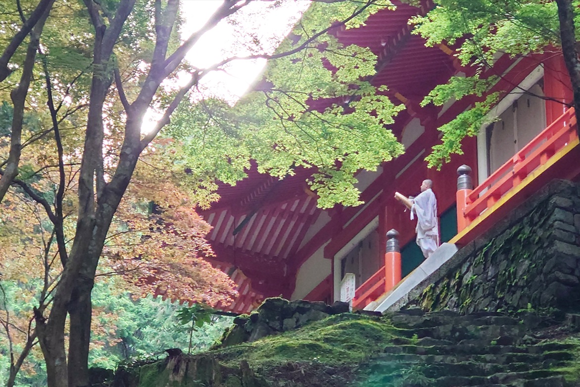 緑の木々に囲まれた比叡山延暦寺の朱塗りの堂宇