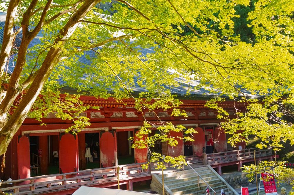釈迦堂／比叡山ウェブ