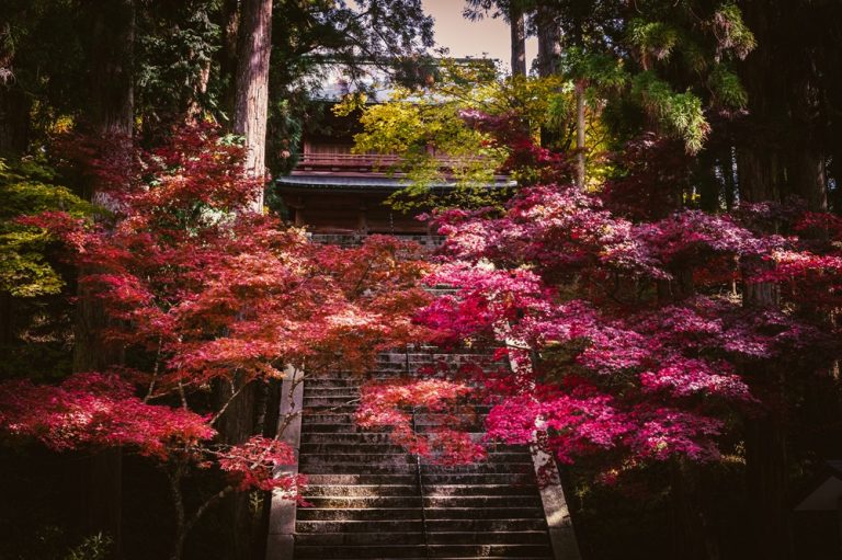 文殊楼／比叡山ウェブ