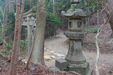 龍ヶ馬場・猿ヶ馬場／比叡山ウェブ