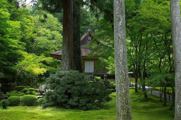三千院／比叡山ウェブ