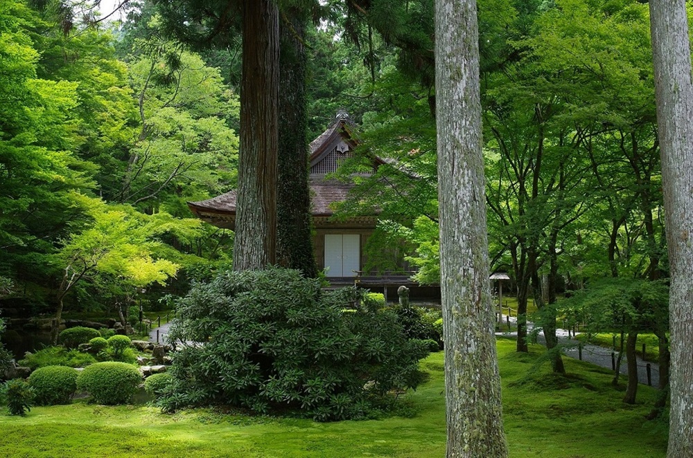 三千院／比叡山ウェブ
