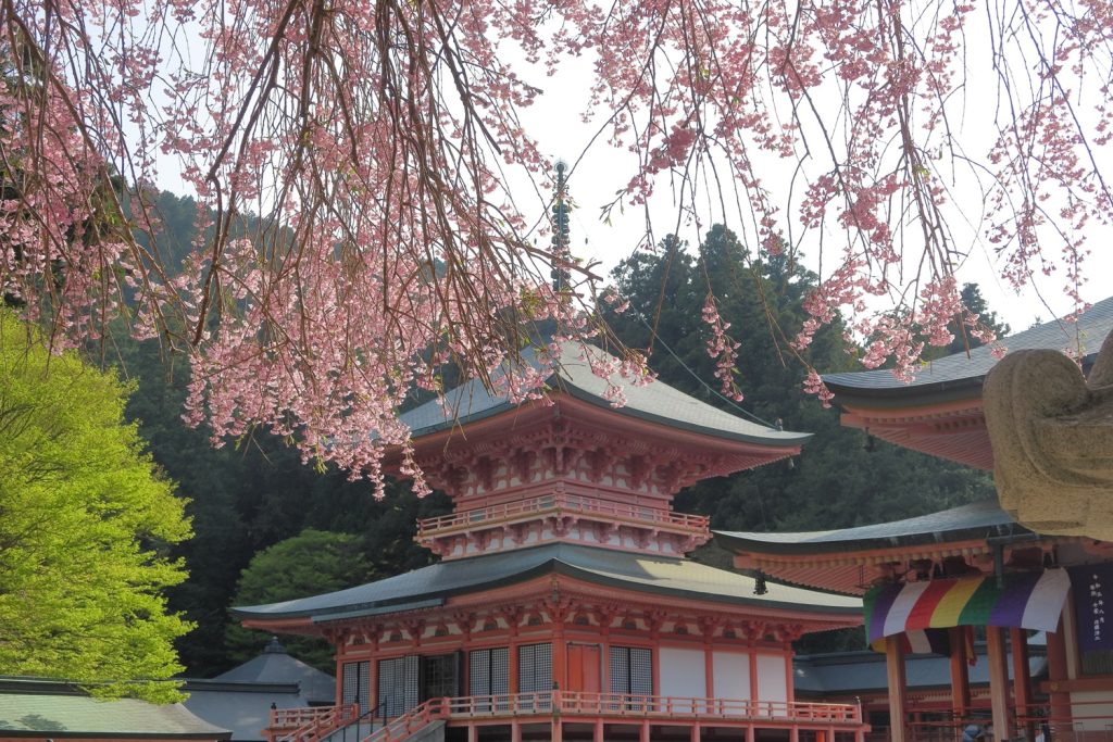 比叡山の四季／比叡山ウェブ