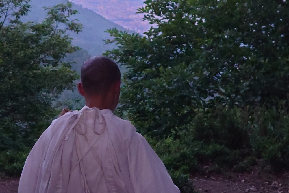 玉体杉／比叡山ウェブ